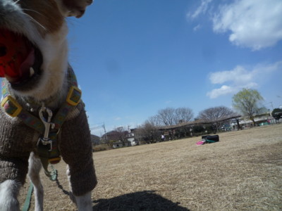 f:id:okuu:20110317172237j:image f:id:okuu:20110317172237j:image