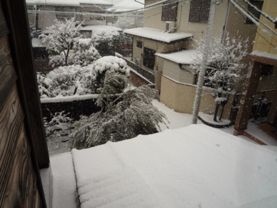 f:id:okuu:20120229112810j:image:w250 f:id:okuu:20120229112810j:image:w250