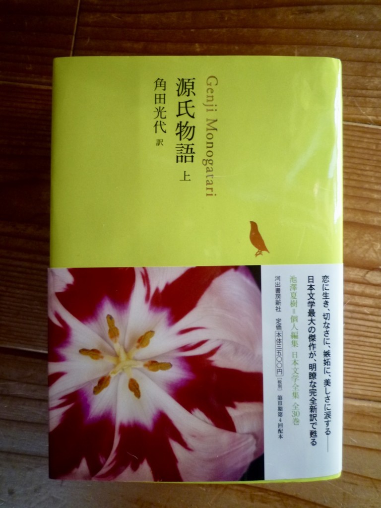 f:id:okuu:20180102095434j:plain f:id:okuu:20180102095434j:plain