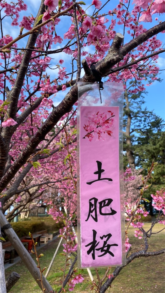 f:id:old_guy_ossan:20200204065508j:image f:id:old_guy_ossan:20200204065508j:image