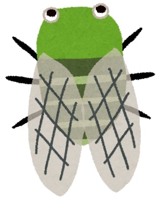 f:id:oldboy-elegy:20191229131342j:plain f:id:oldboy-elegy:20191229131342j:plain