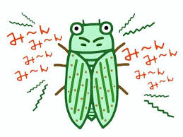 f:id:oldboy-elegy:20211205184920j:plain