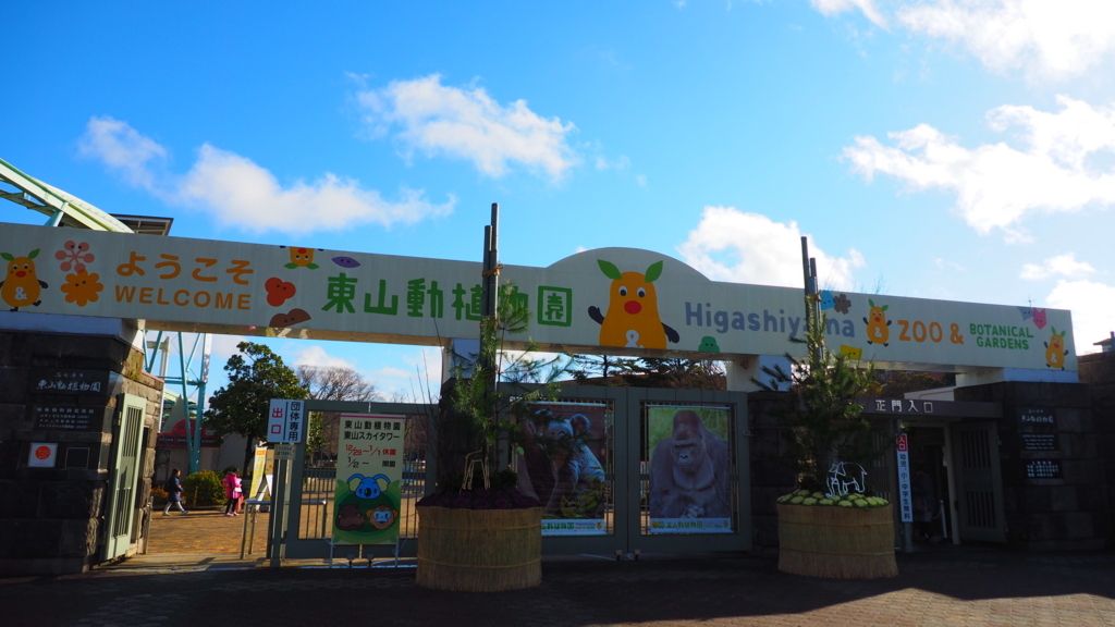 大人は楽しめない 名古屋の動物園 東山動植物園に行ってきた感想 羽ばたけ くるりん