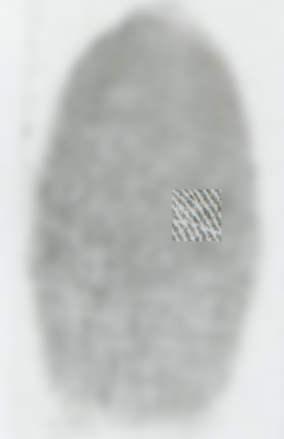 f:id:oldskoolrave:20181029231204p:plain