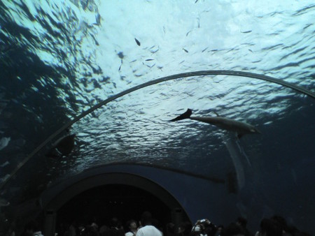 f:id:oldwest:20080928154044j:image