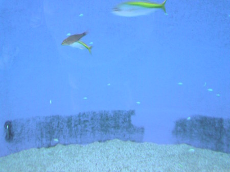 f:id:oldwest:20080928154126j:image