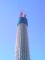 東京スカイツリー＠京成橋