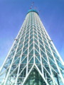 ふもとからの東京スカイツリー