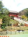 鶴岡八幡宮・大銀杏倒壊現場