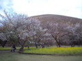 大室山さくらの里