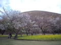 大室山さくらの里