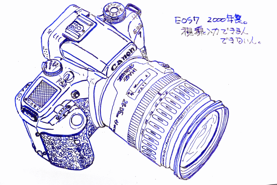 Canon EOS 7 一眼レフカメラ 視線入力 その17．EOS7 視線に注目 - まど猫スケッチ