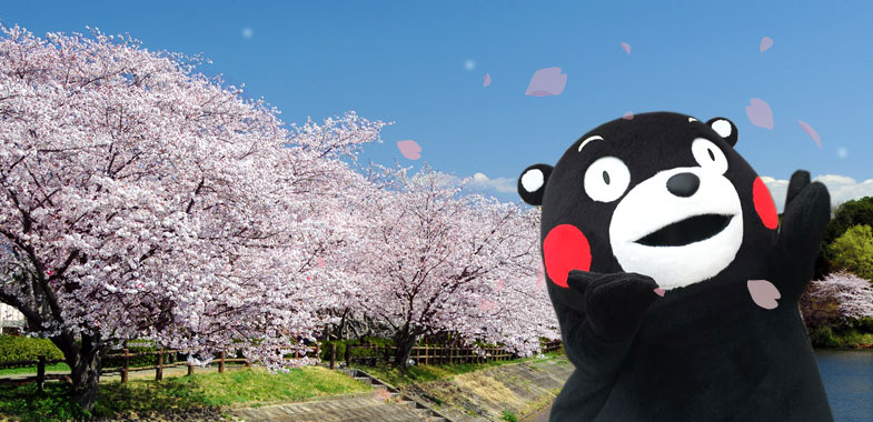 f:id:oli_oli_yukki:20170416092645j:plain