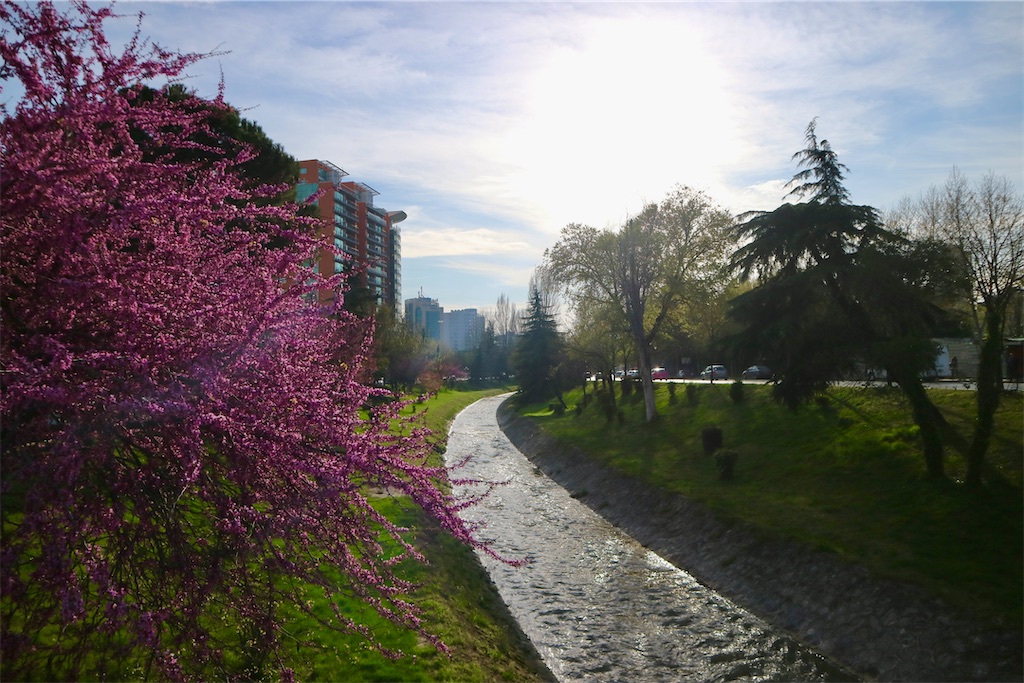 f:id:oliamemo:20210402183200j:image