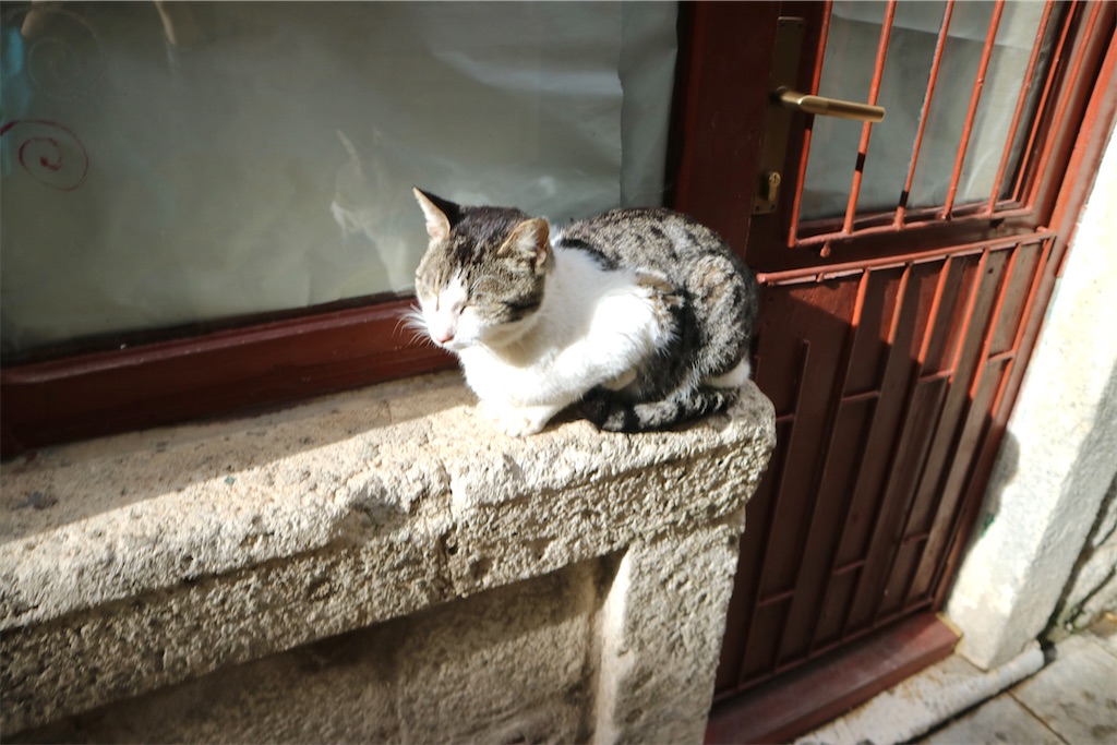 f:id:oliamemo:20210403230903j:image