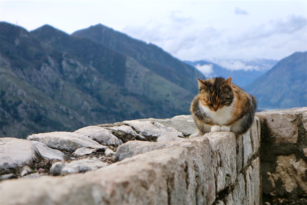 f:id:oliamemo:20210403230946j:image