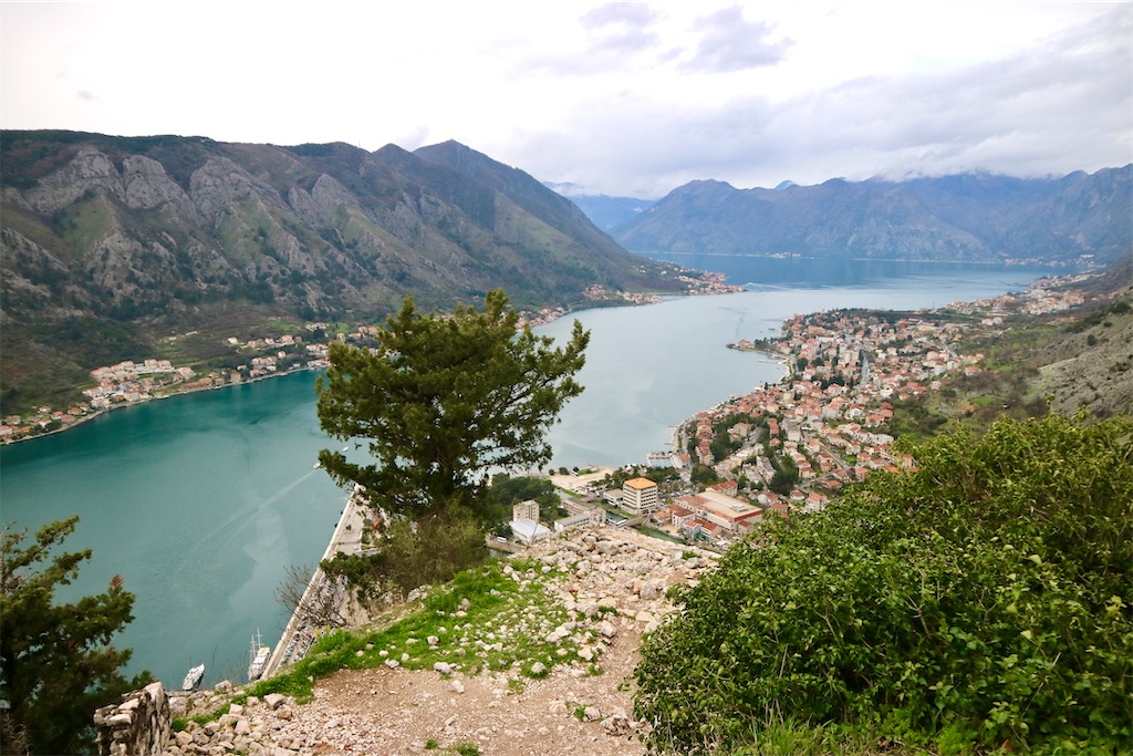 f:id:oliamemo:20210403230952j:image