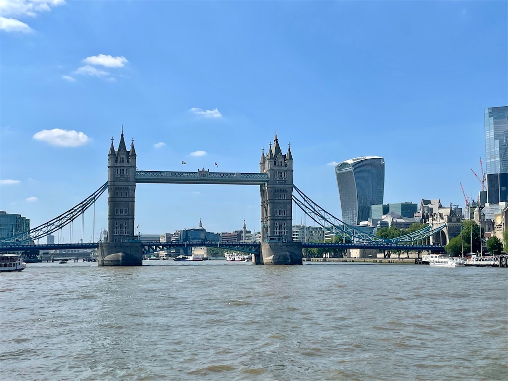 f:id:oliamemo:20210615062529j:image