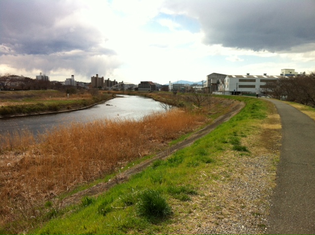 f:id:olive-garlic:20140321132727j:plain f:id:olive-garlic:20140321132727j:plain