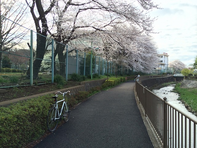 f:id:olive-garlic:20140402184756j:plain f:id:olive-garlic:20140402184756j:plain