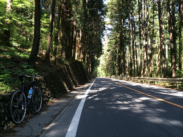 f:id:olive-garlic:20140505112400j:plain f:id:olive-garlic:20140505112400j:plain