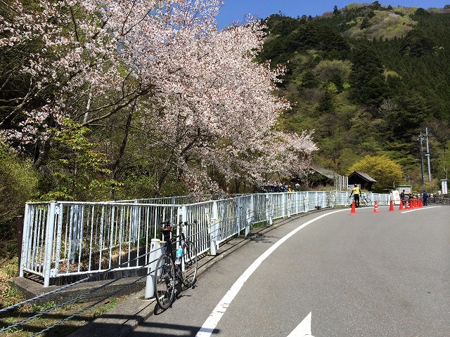 f:id:olive-garlic:20140505112719j:plain f:id:olive-garlic:20140505112719j:plain