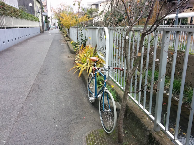 f:id:olive-garlic:20151202132515j:plain f:id:olive-garlic:20151202132515j:plain