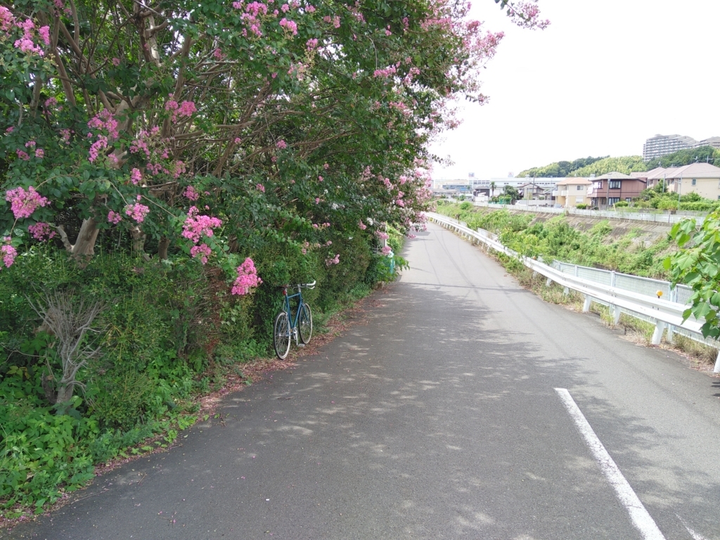 f:id:olive-garlic:20180819121523j:plain f:id:olive-garlic:20180819121523j:plain