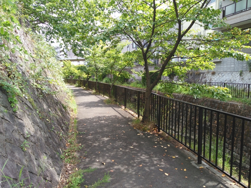 f:id:olive-garlic:20180819130452j:plain f:id:olive-garlic:20180819130452j:plain