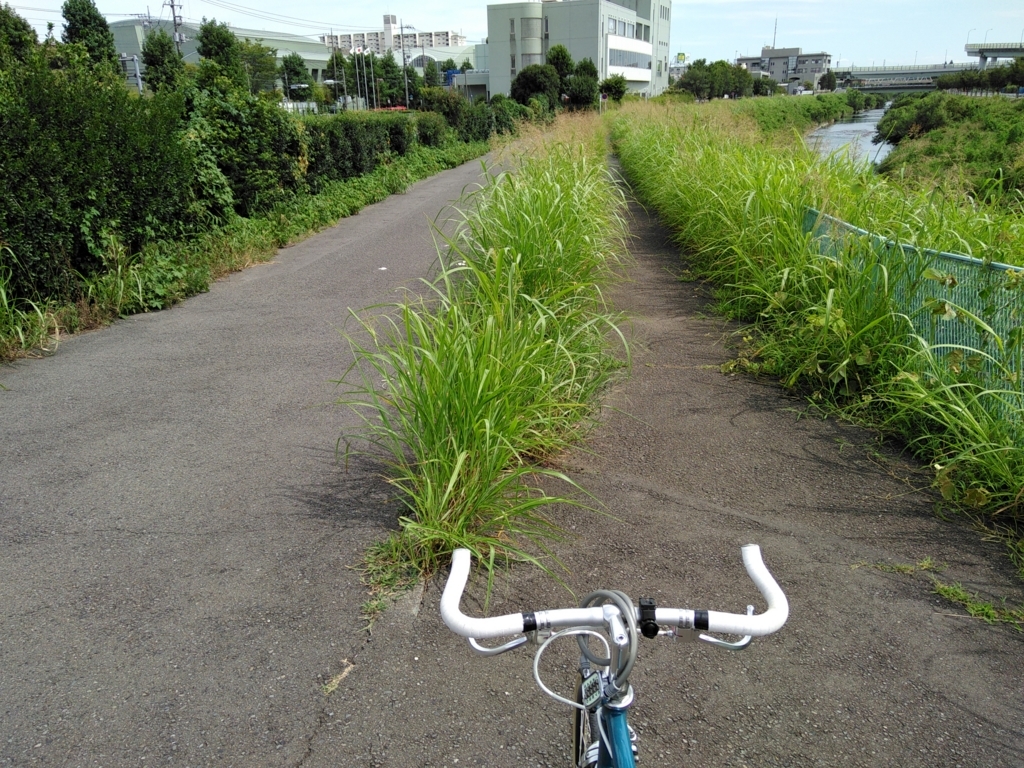 f:id:olive-garlic:20180819131803j:plain f:id:olive-garlic:20180819131803j:plain