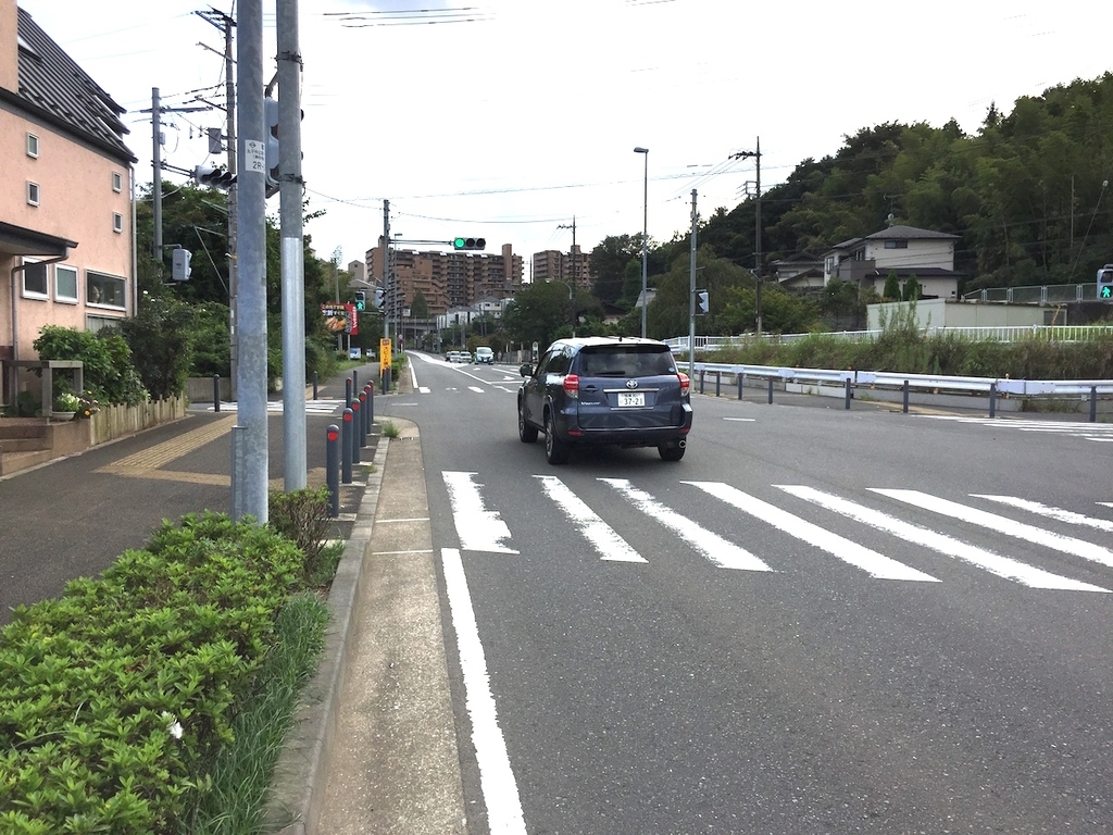 f:id:olive-garlic:20180924150003j:plain f:id:olive-garlic:20180924150003j:plain