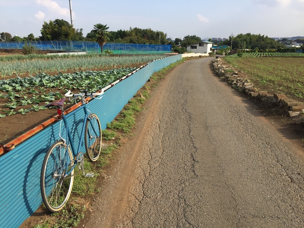 f:id:olive-garlic:20180924151657j:plain f:id:olive-garlic:20180924151657j:plain