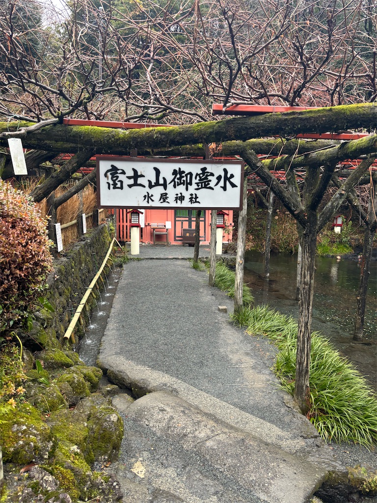 f:id:olivekitchen:20260211142645j:image