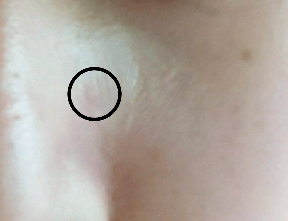 f:id:oliveoily:20171118104451j:plain f:id:oliveoily:20171118104451j:plain