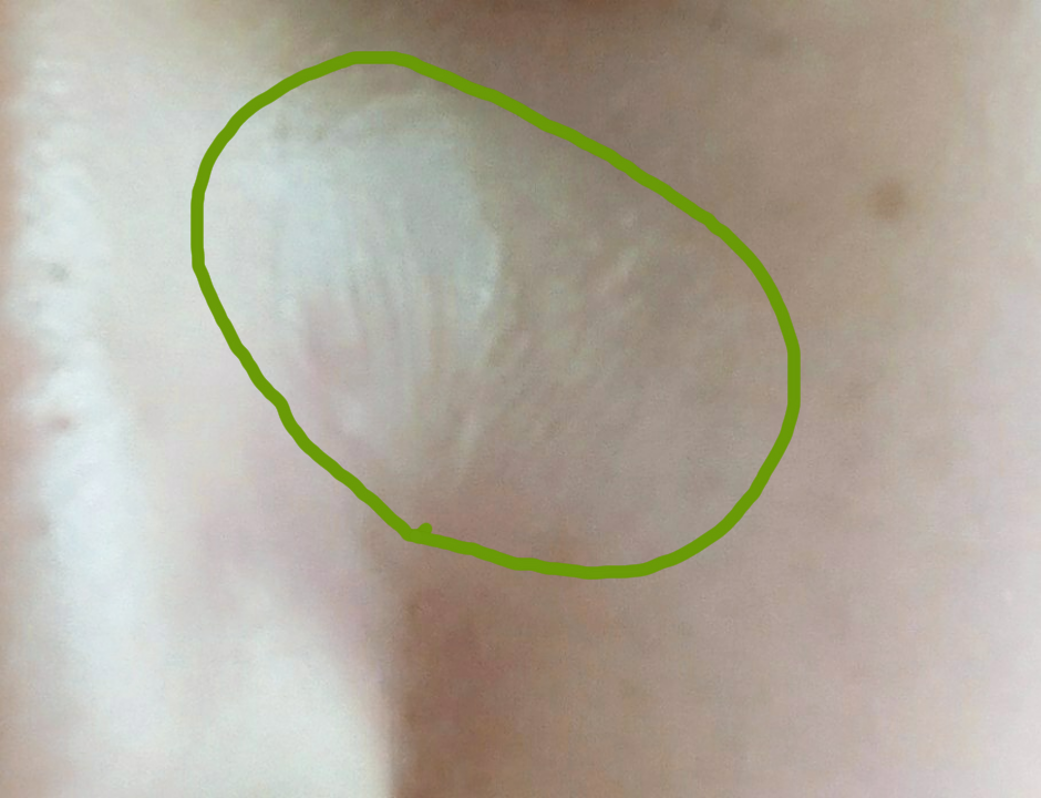 f:id:oliveoily:20171118104640p:plain f:id:oliveoily:20171118104640p:plain