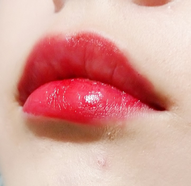 f:id:oliveoily:20191025231558j:plain f:id:oliveoily:20191025231558j:plain