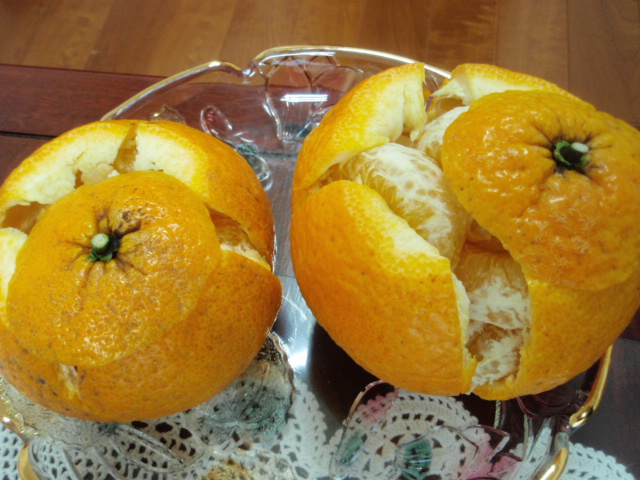 f:id:olivetree:20170621151809j:plain f:id:olivetree:20170621151809j:plain