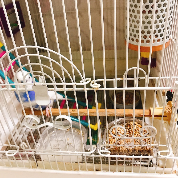 f:id:olnanablog:20190926210028j:plain f:id:olnanablog:20190926210028j:plain