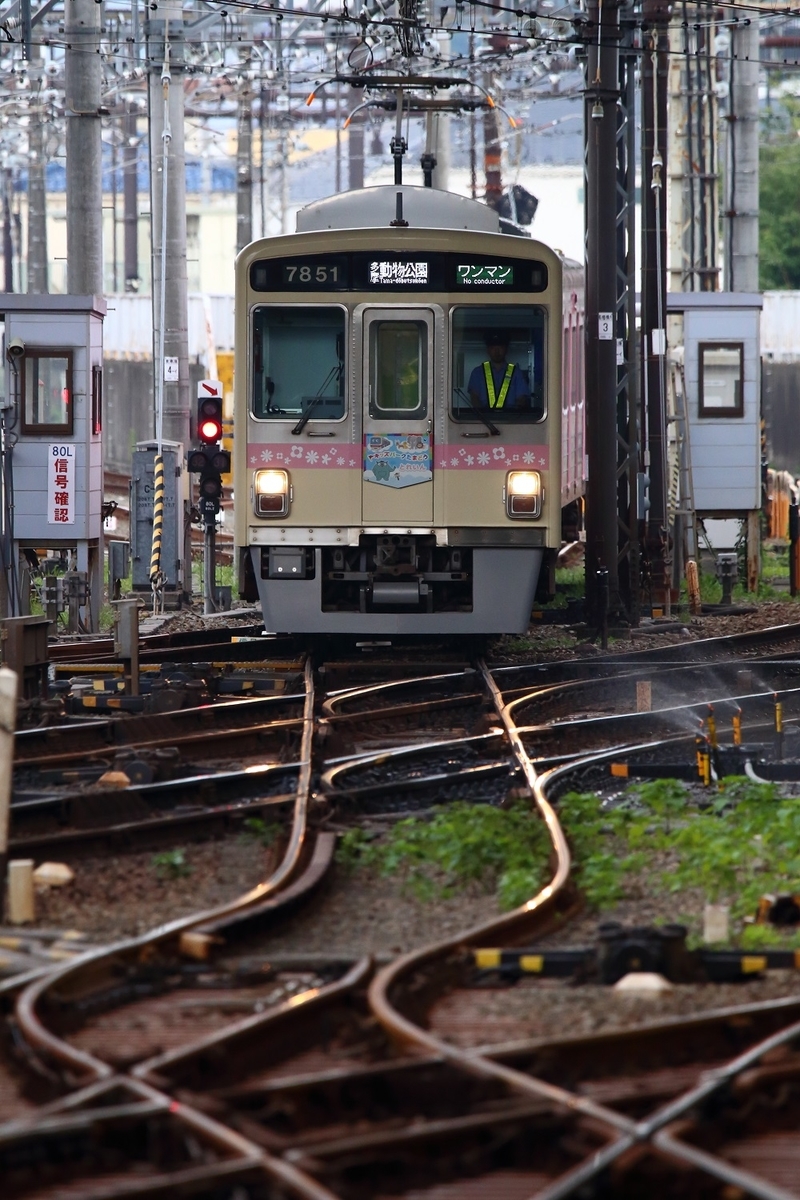 f:id:om08amagi:20190822011301j:plain f:id:om08amagi:20190822011301j:plain