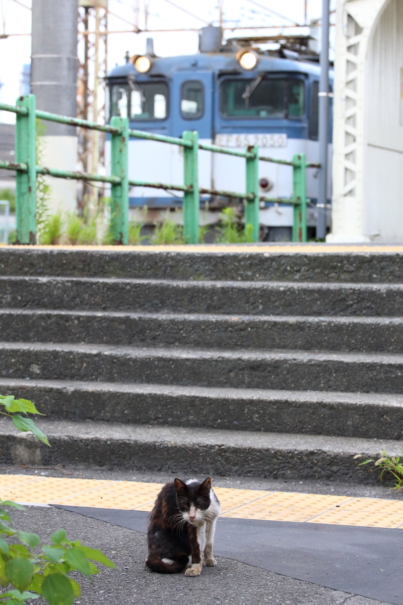 f:id:om08amagi:20200720223308j:plain f:id:om08amagi:20200720223308j:plain