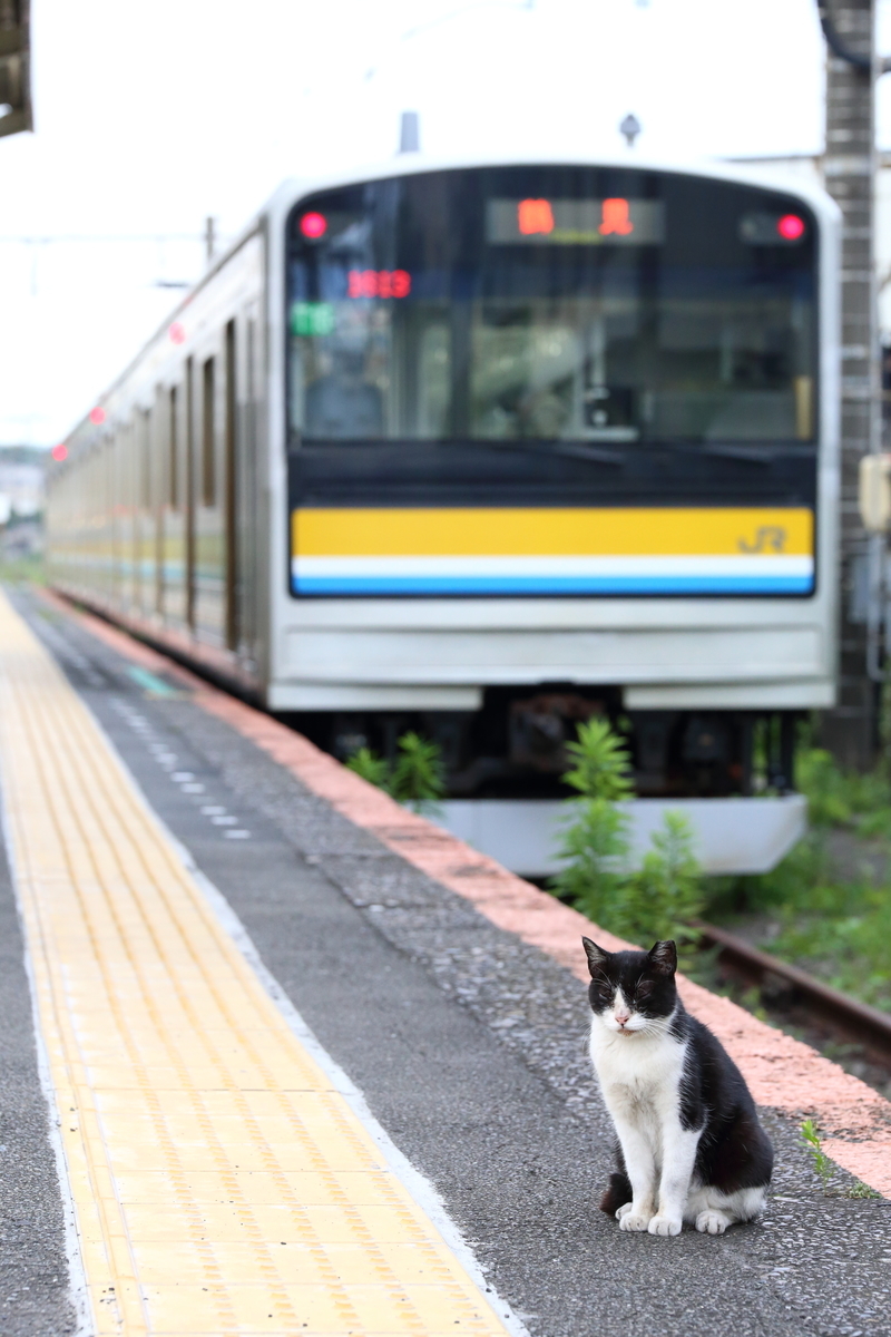 f:id:om08amagi:20200720223546j:plain f:id:om08amagi:20200720223546j:plain