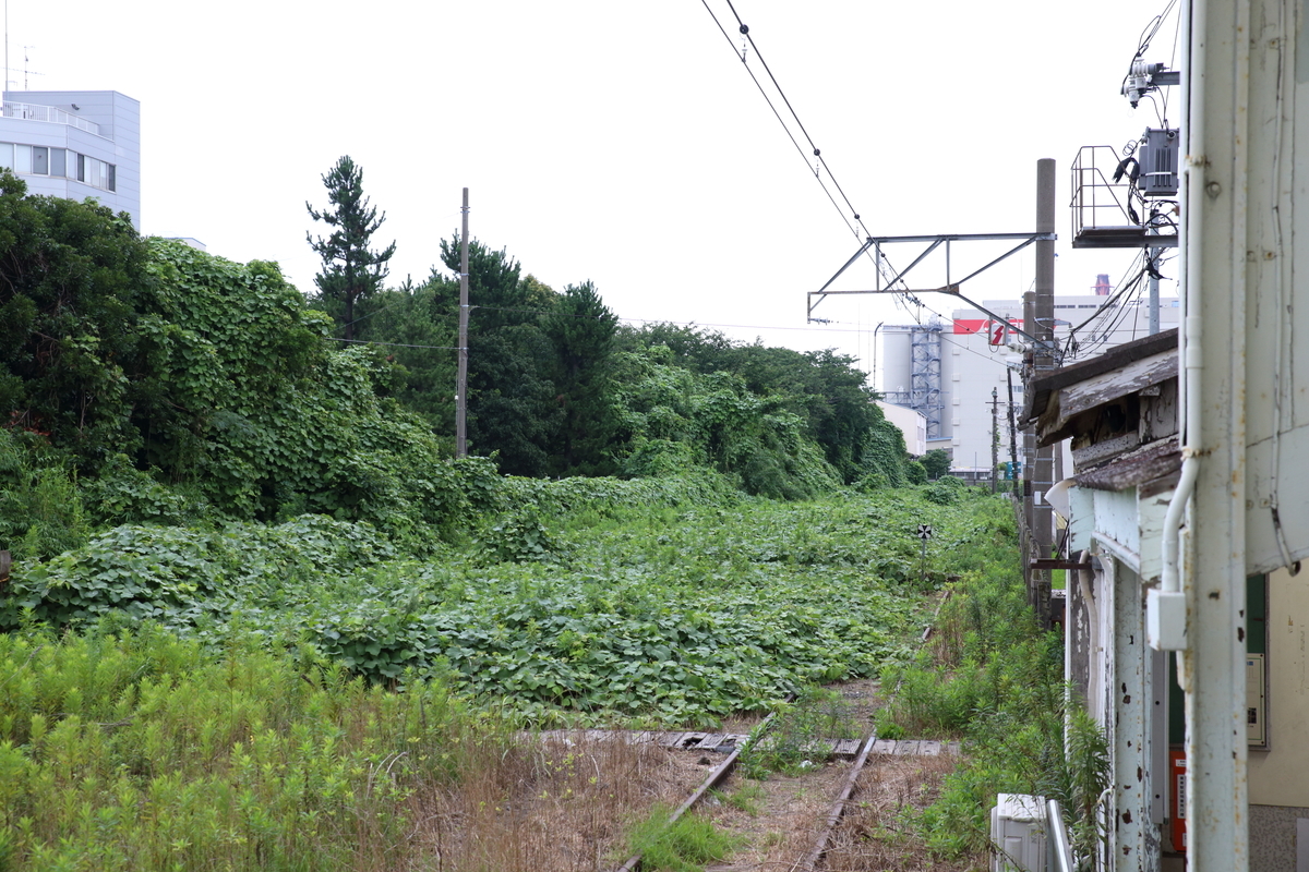 f:id:om08amagi:20200720230216j:plain f:id:om08amagi:20200720230216j:plain