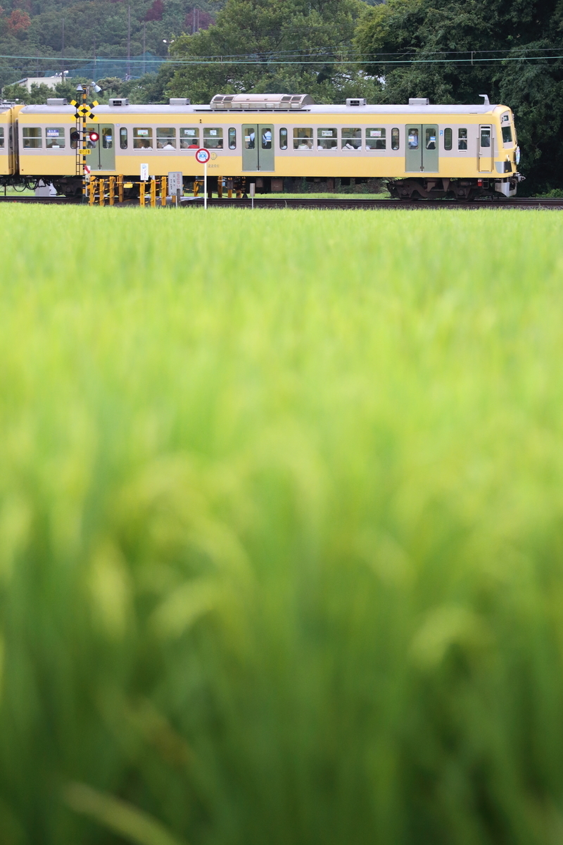 f:id:om08amagi:20200907153851j:plain