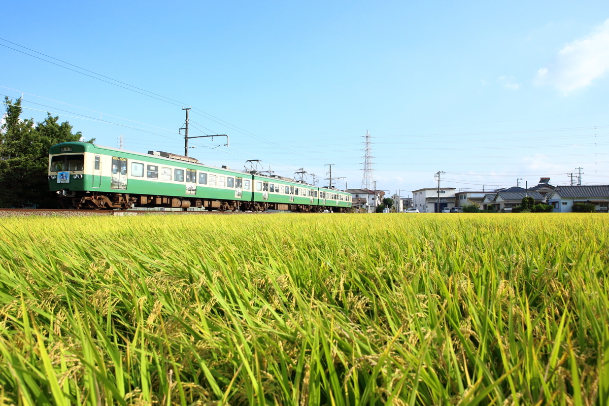 f:id:om08amagi:20200923235922j:plain