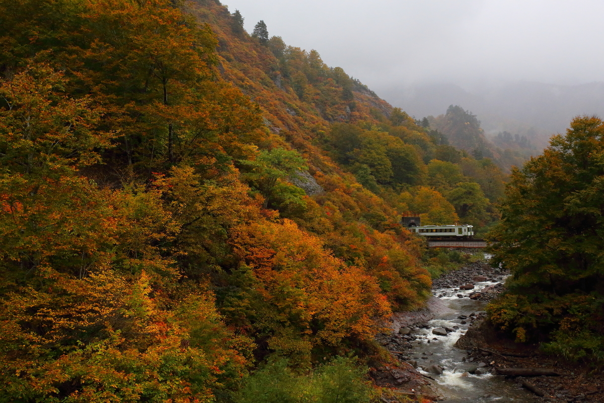 f:id:om08amagi:20201028131638j:plain