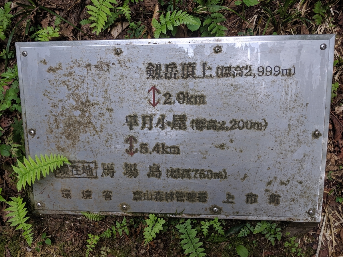 f:id:om2dama:20190816233658j:plain f:id:om2dama:20190816233658j:plain