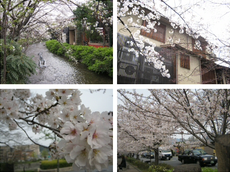 f:id:omachaaaa:20130405211053j:plain f:id:omachaaaa:20130405211053j:plain