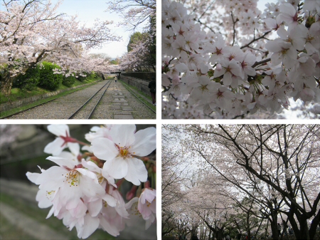 f:id:omachaaaa:20130406193805j:plain