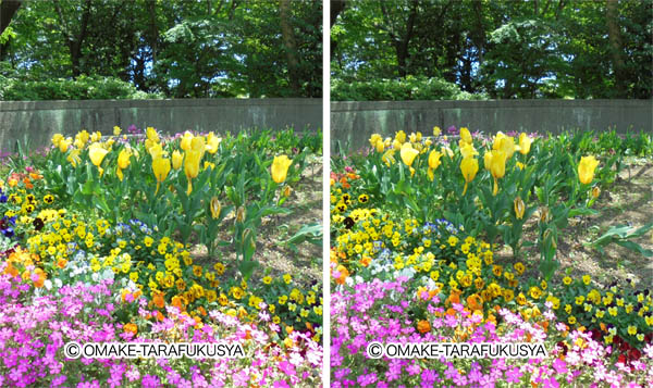 ステレオグラムで花壇を見よう！ - 【不思議な錯覚！】錯視やだ