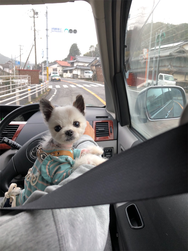 f:id:omasachang:20210118144015j:image